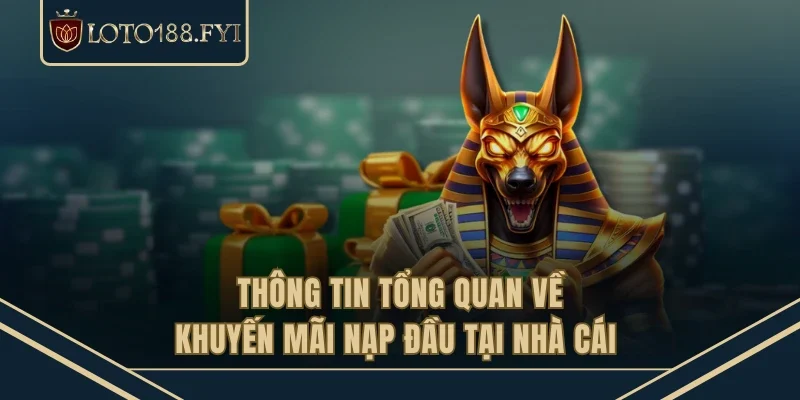 Thông tin tổng quan về khuyến mãi nạp đầu tại nhà cái