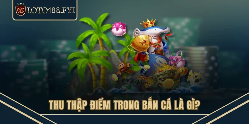 Thu thập điểm trong bắn cá là gì?